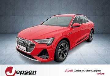 Audi e-tron 49.356 km 45.540 &euro; Neutraubling 93073